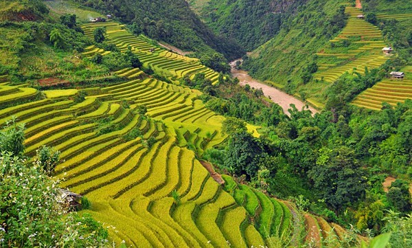 Giới thiệu